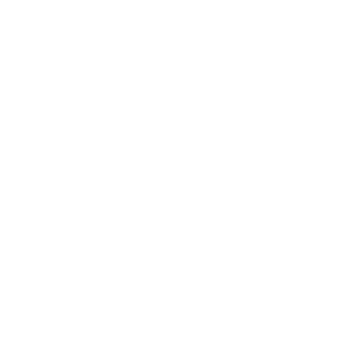 C6 Diamond logo white